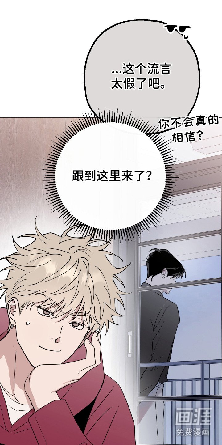 第11章：传闻