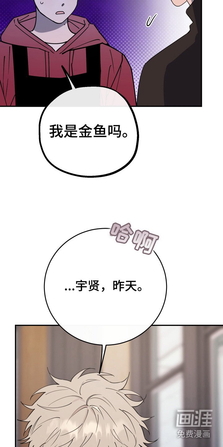 第11章：传闻