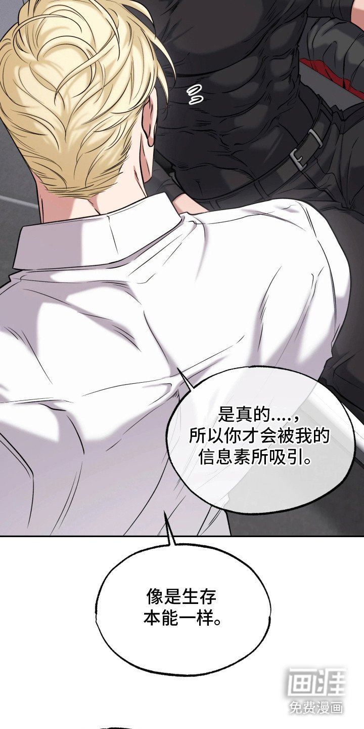 第12章：实验
