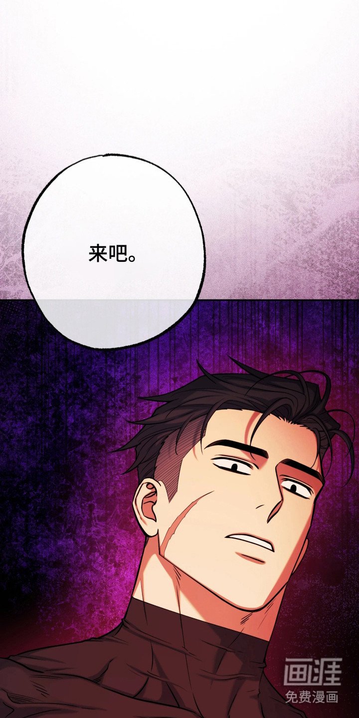 第13章：展示能力
