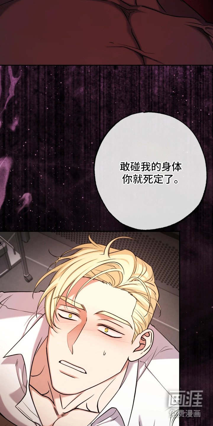 第13章：展示能力