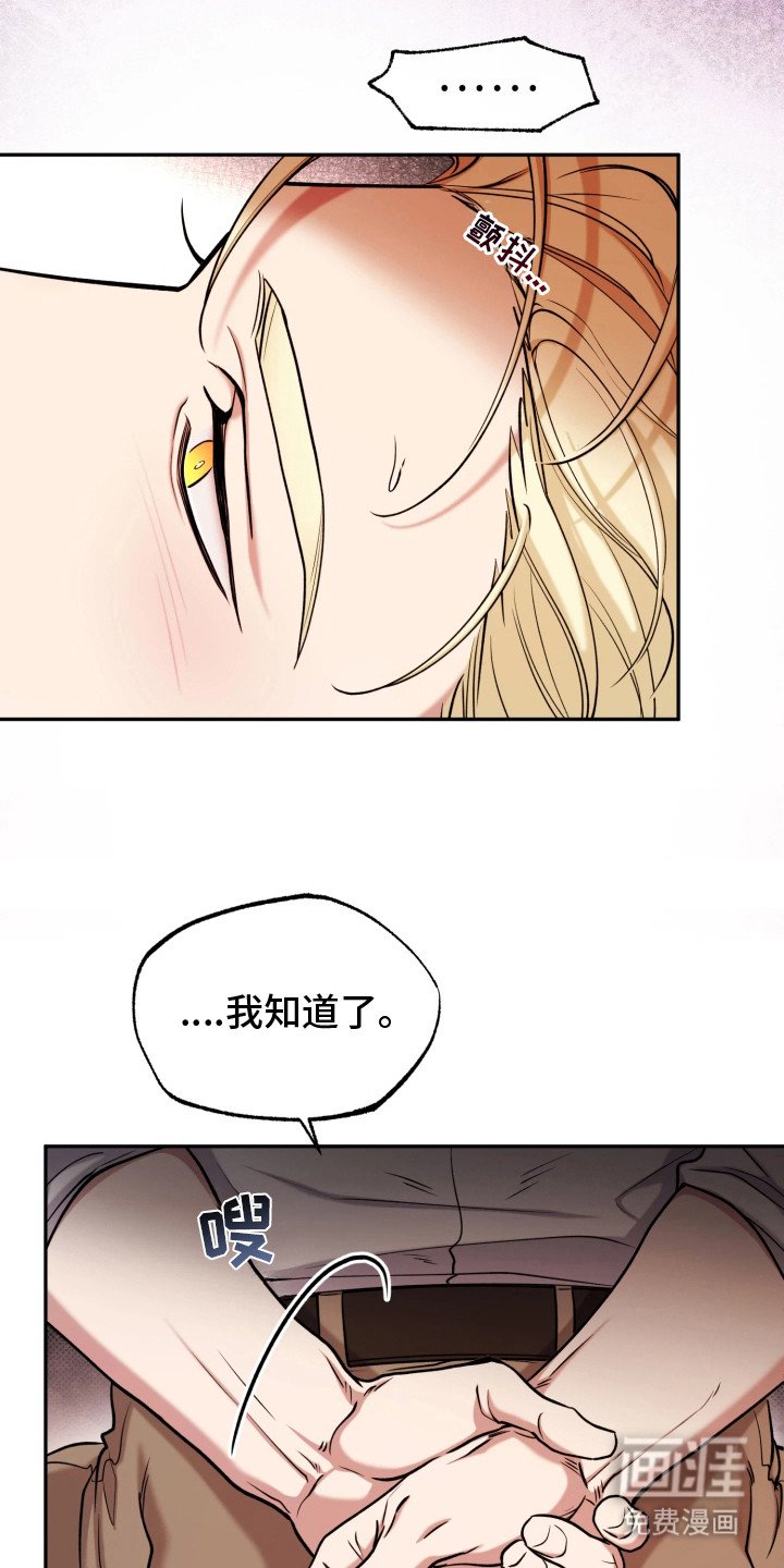 第13章：展示能力