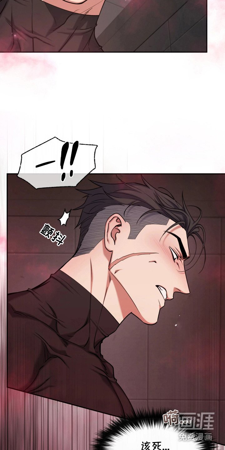 第13章：展示能力