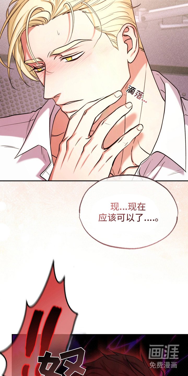 第13章：展示能力