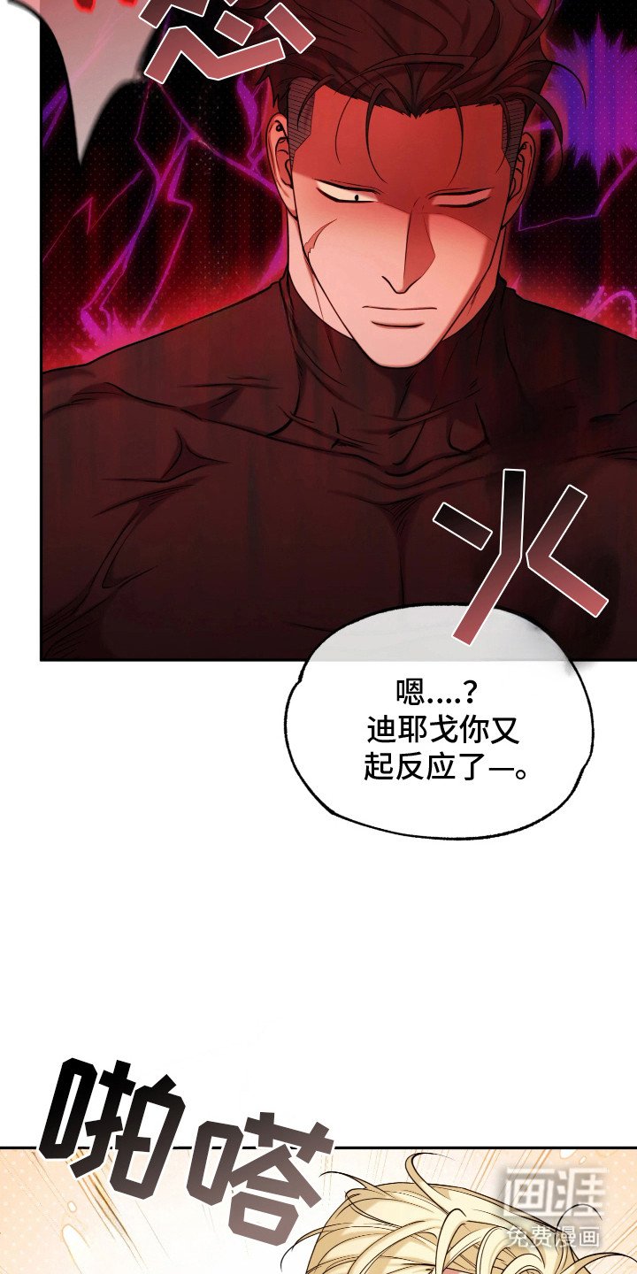 第13章：展示能力