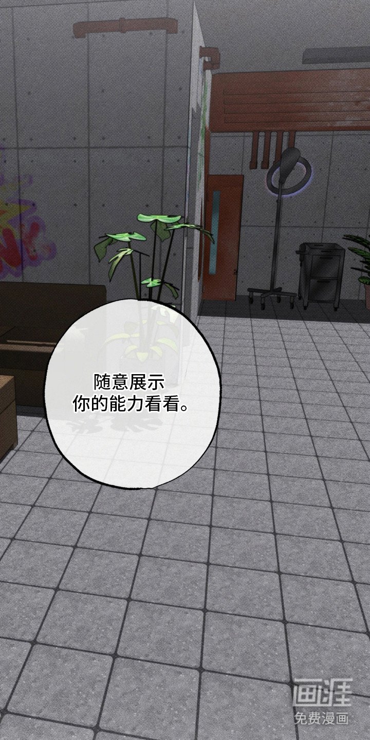 第13章：展示能力