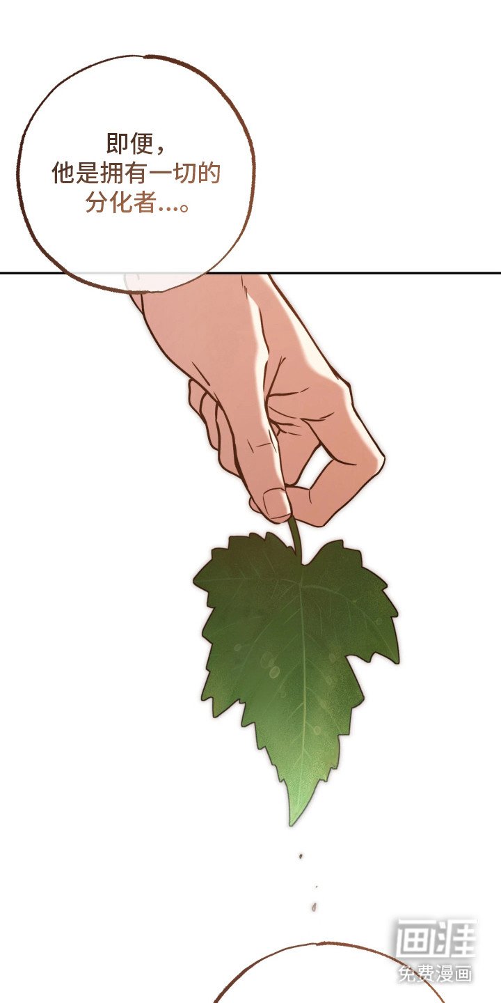 第15章：头疼