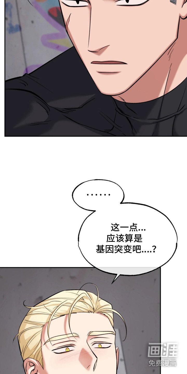 第15章：头疼