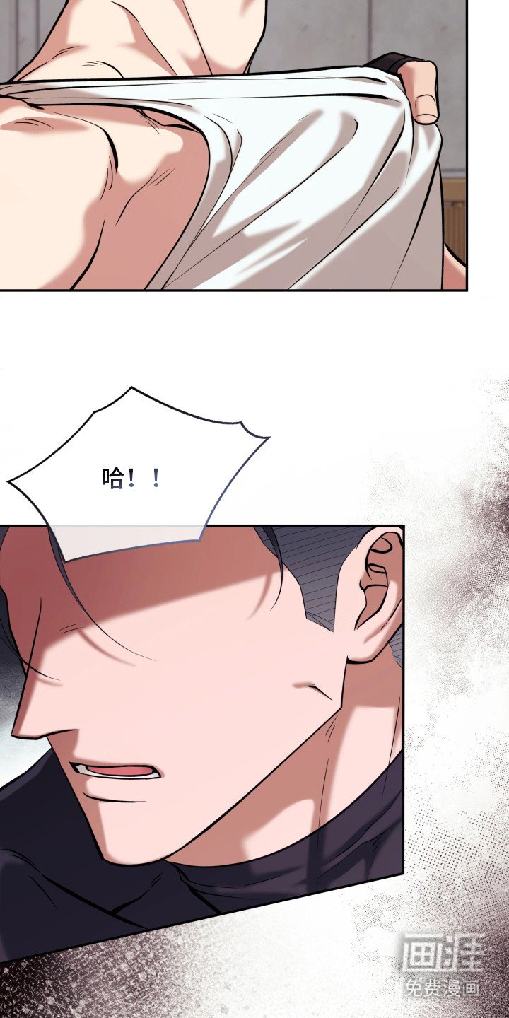 第16章：报告