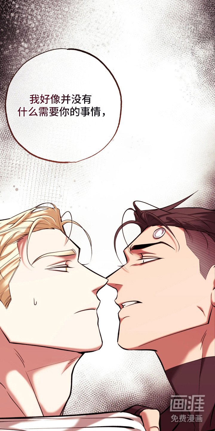第16章：报告