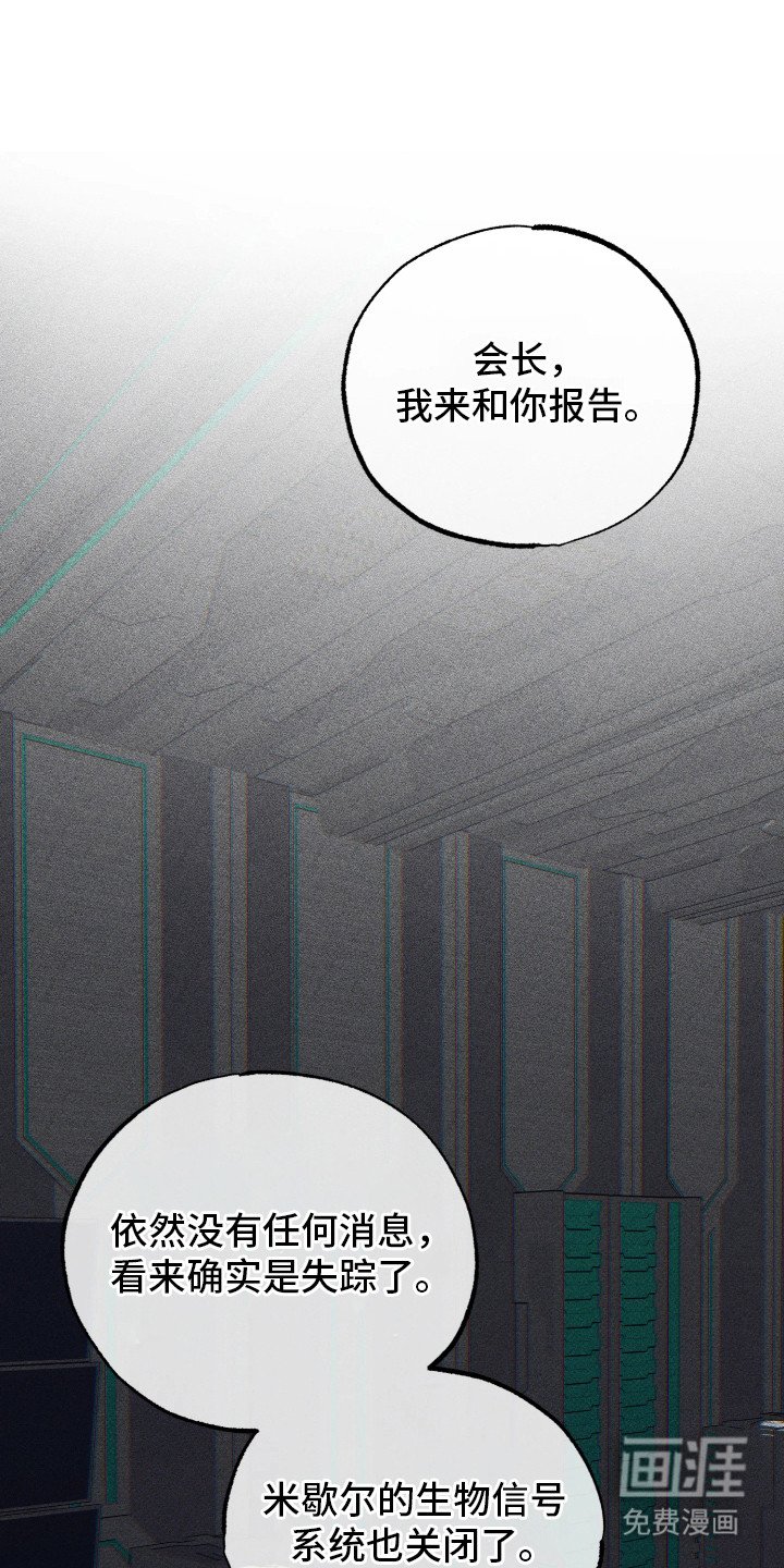 第16章：报告