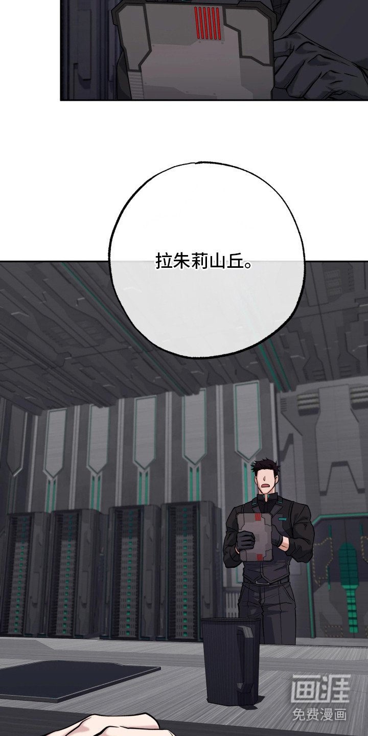 第16章：报告