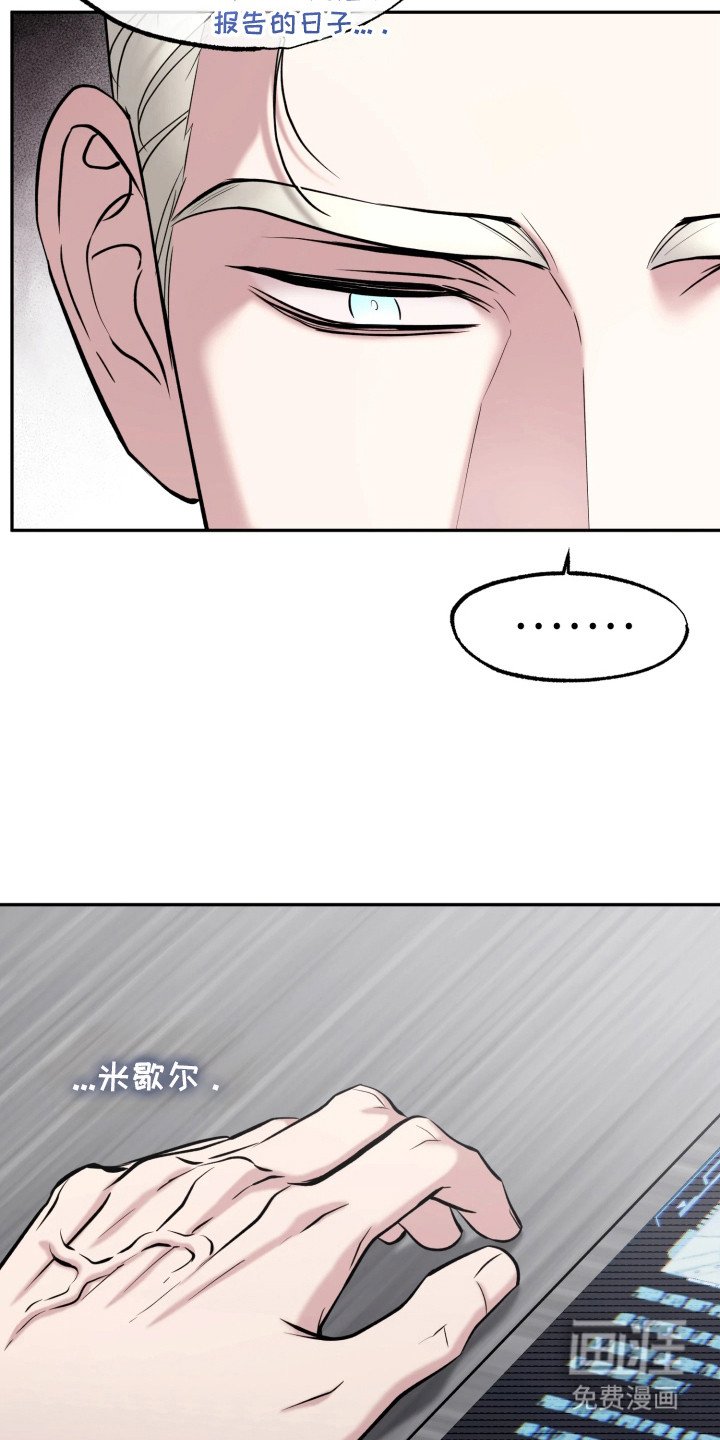 第16章：报告