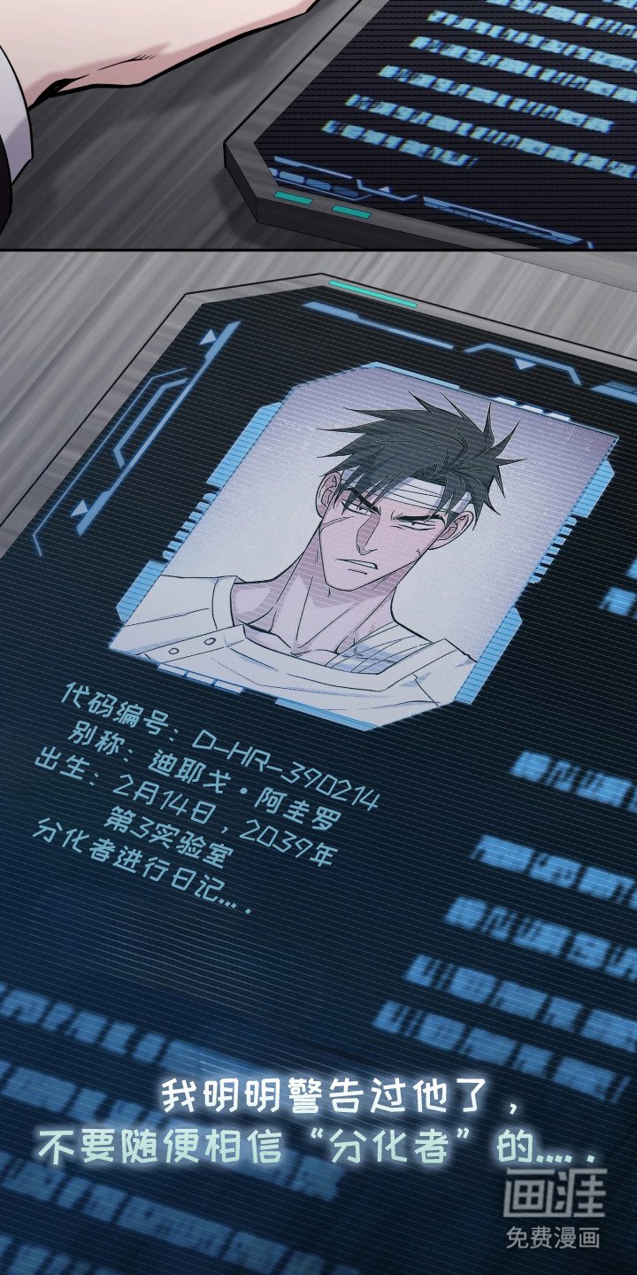 第16章：报告