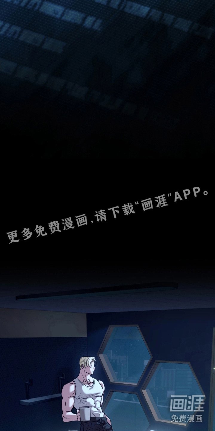 第16章：报告