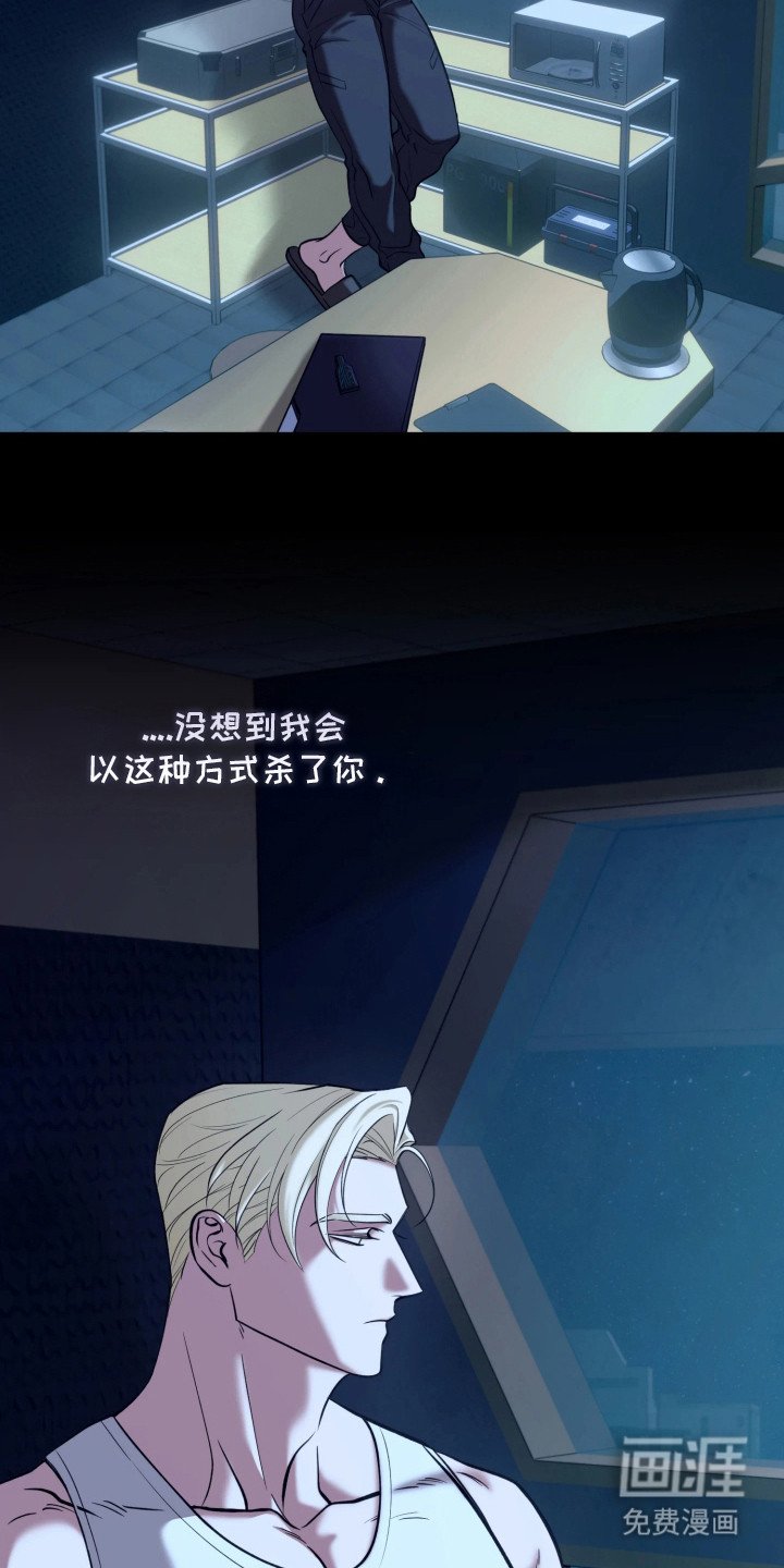 第16章：报告
