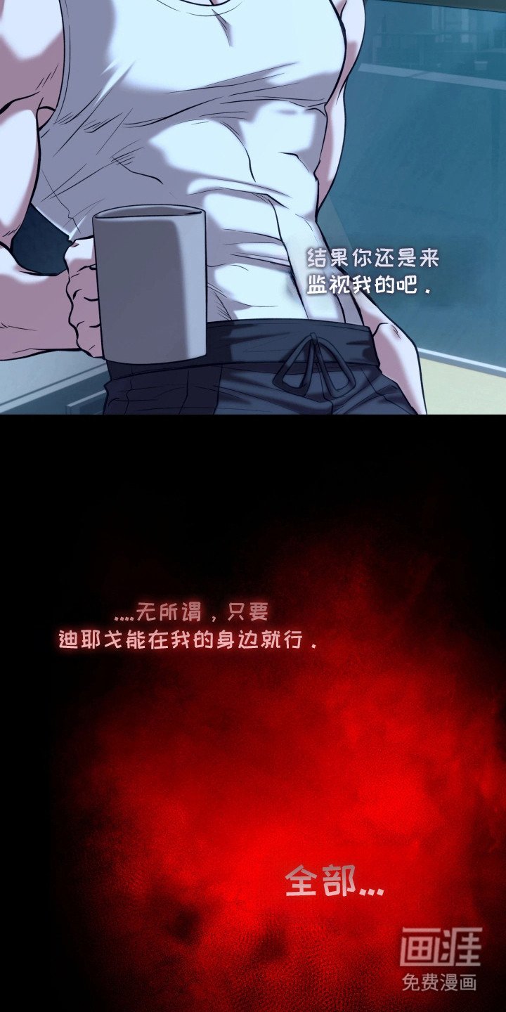 第16章：报告