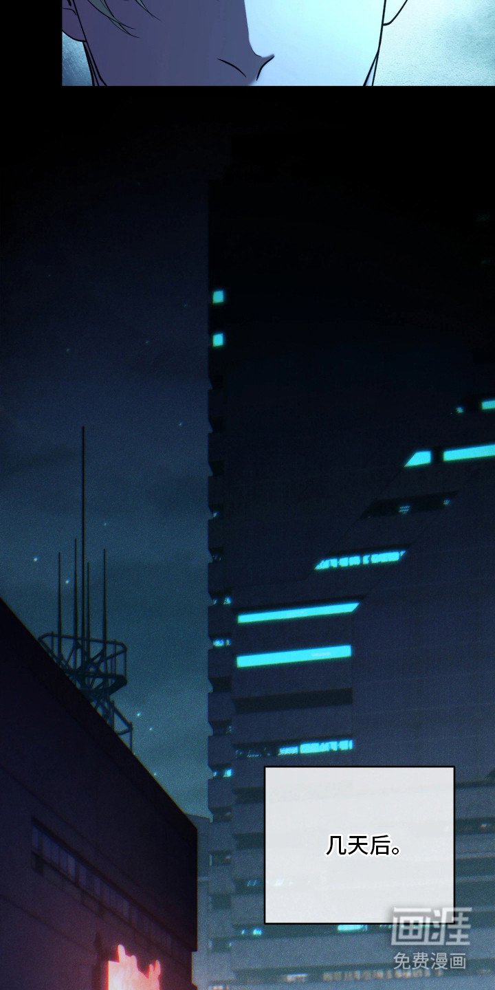第16章：报告