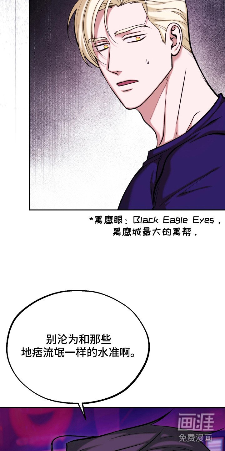 第17章：黑帮
