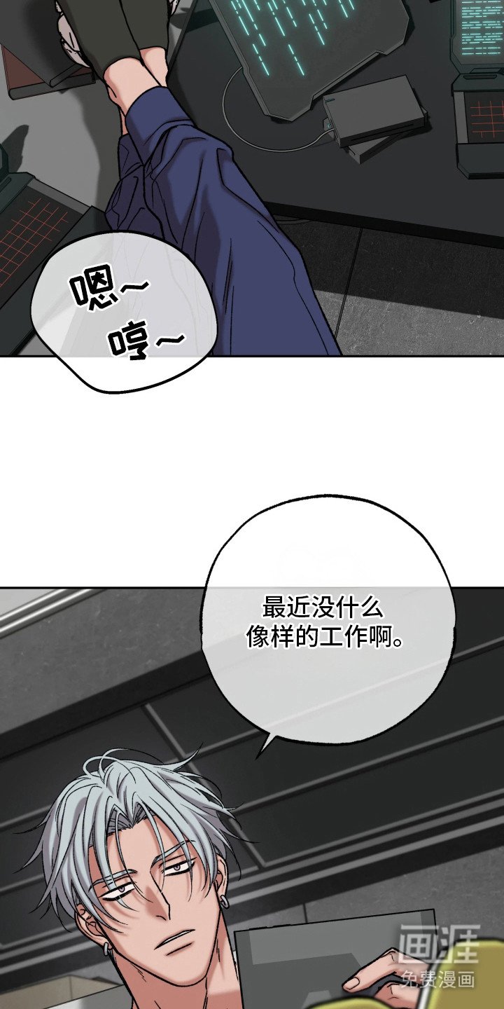 第9章：调查