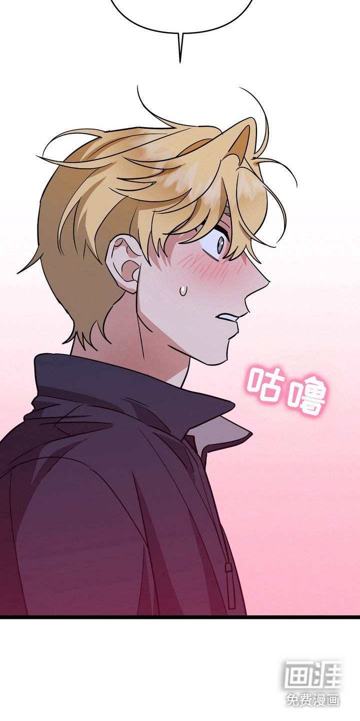 第11章：求助