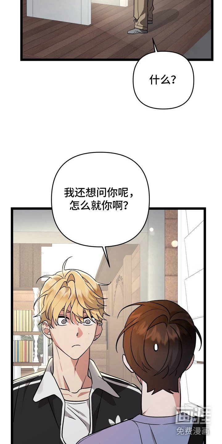 第2章：玩偶