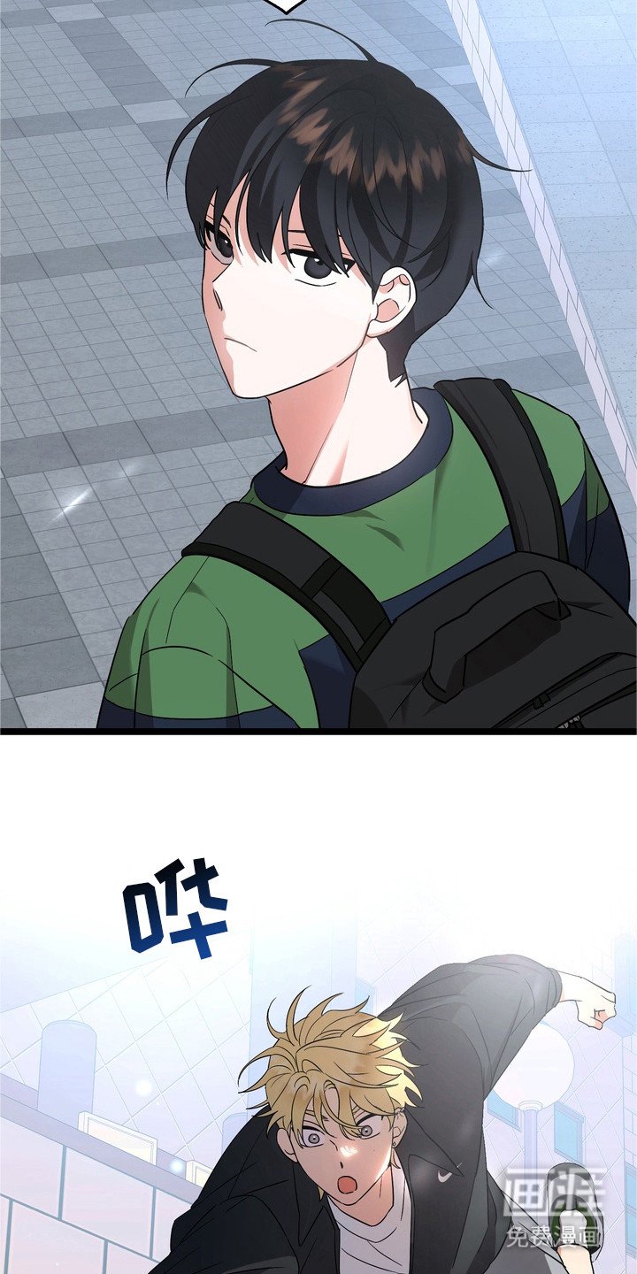 第6章：来帮你