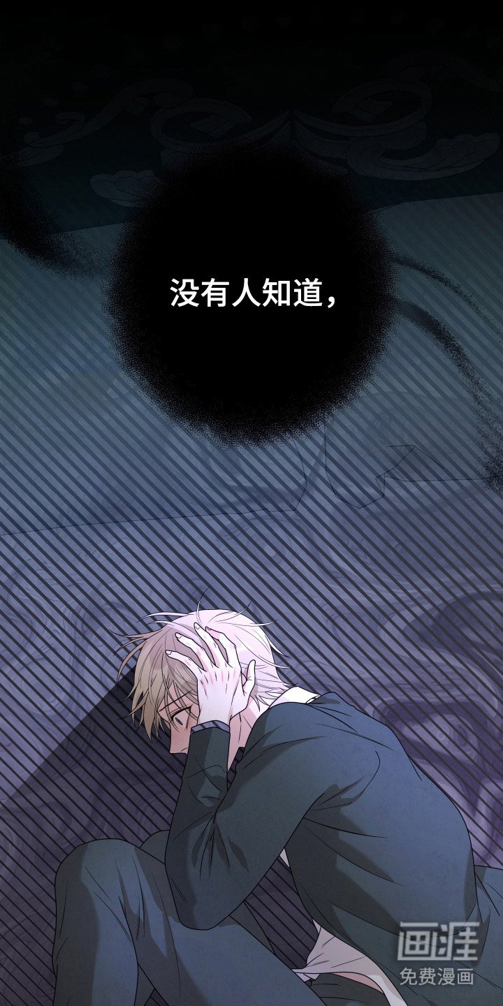 第13章：真正目的
