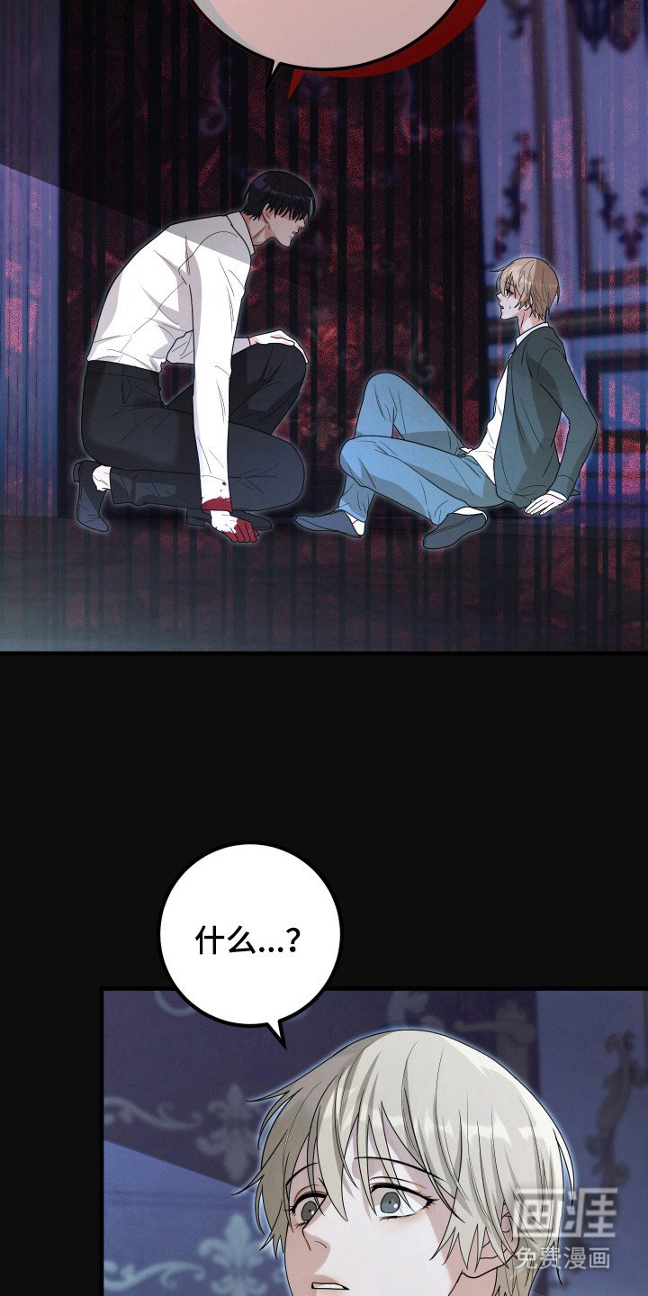第14章：谎言