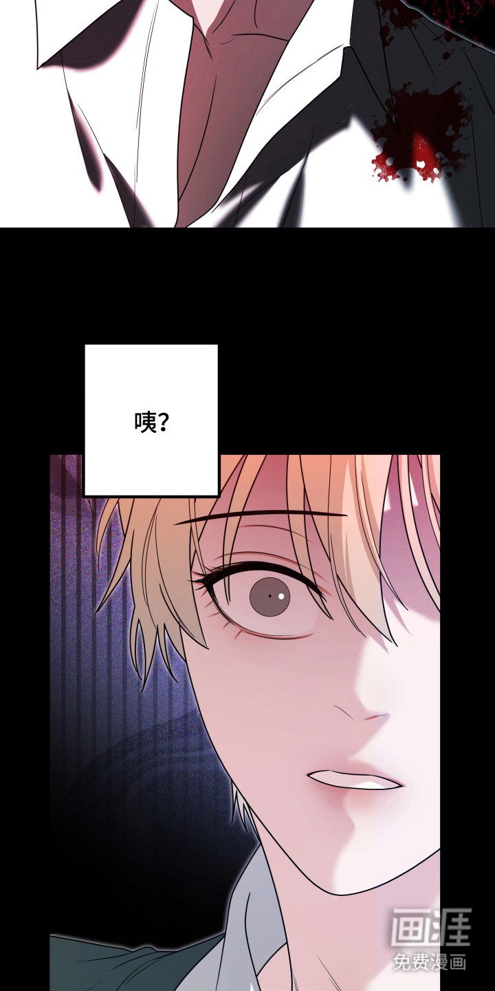第14章：谎言