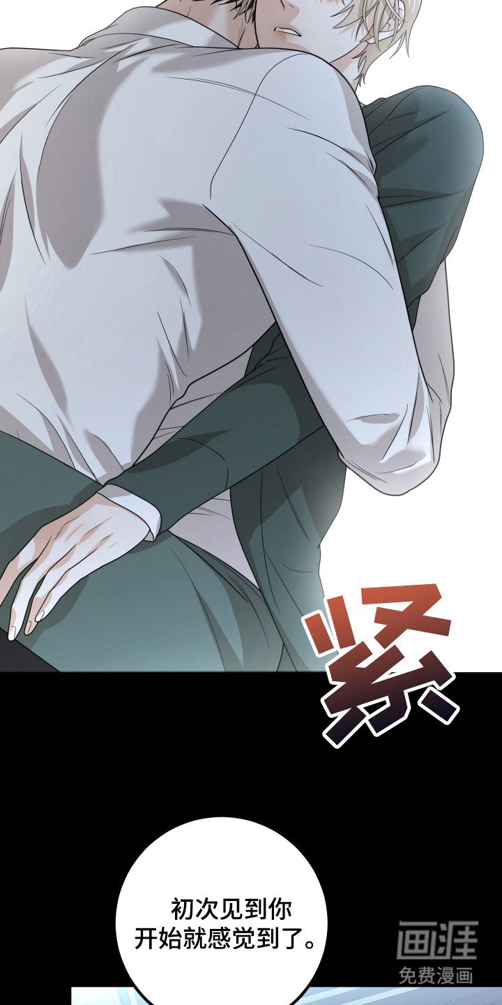 第15章：复杂情感