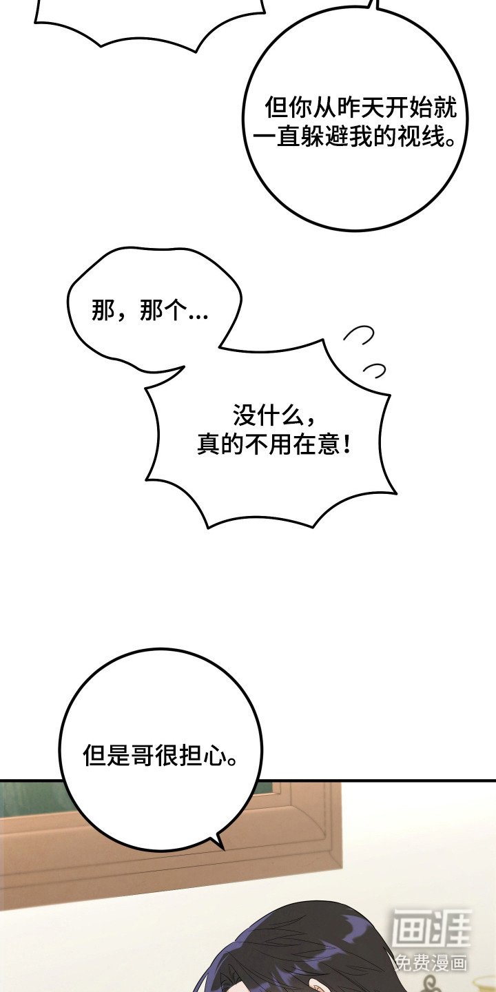 第7章：躲避视线
