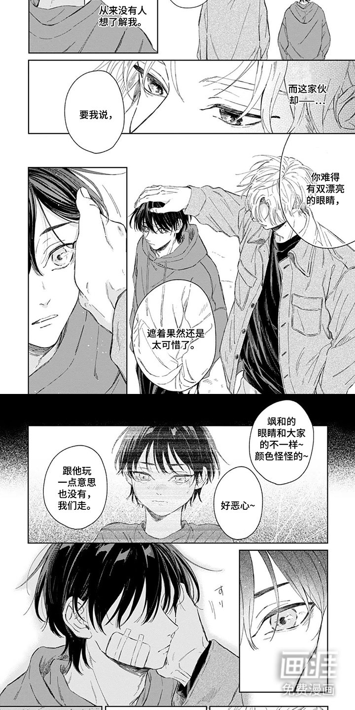 第4章：可爱的家伙