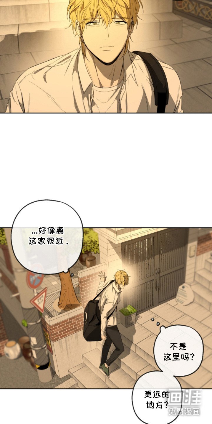 第10章：寻找