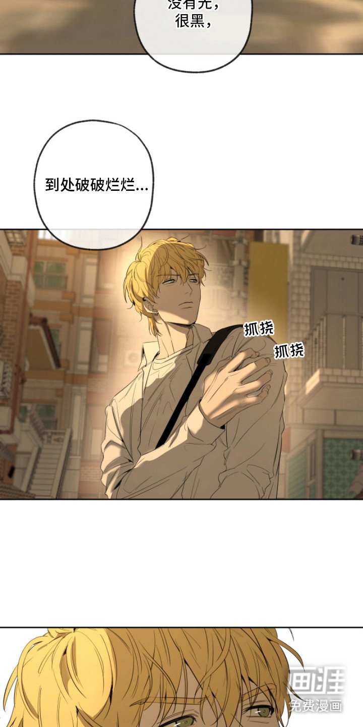 第10章：寻找