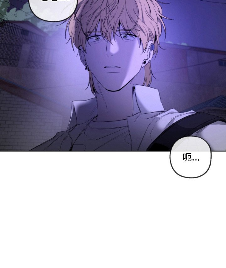 第10章：寻找