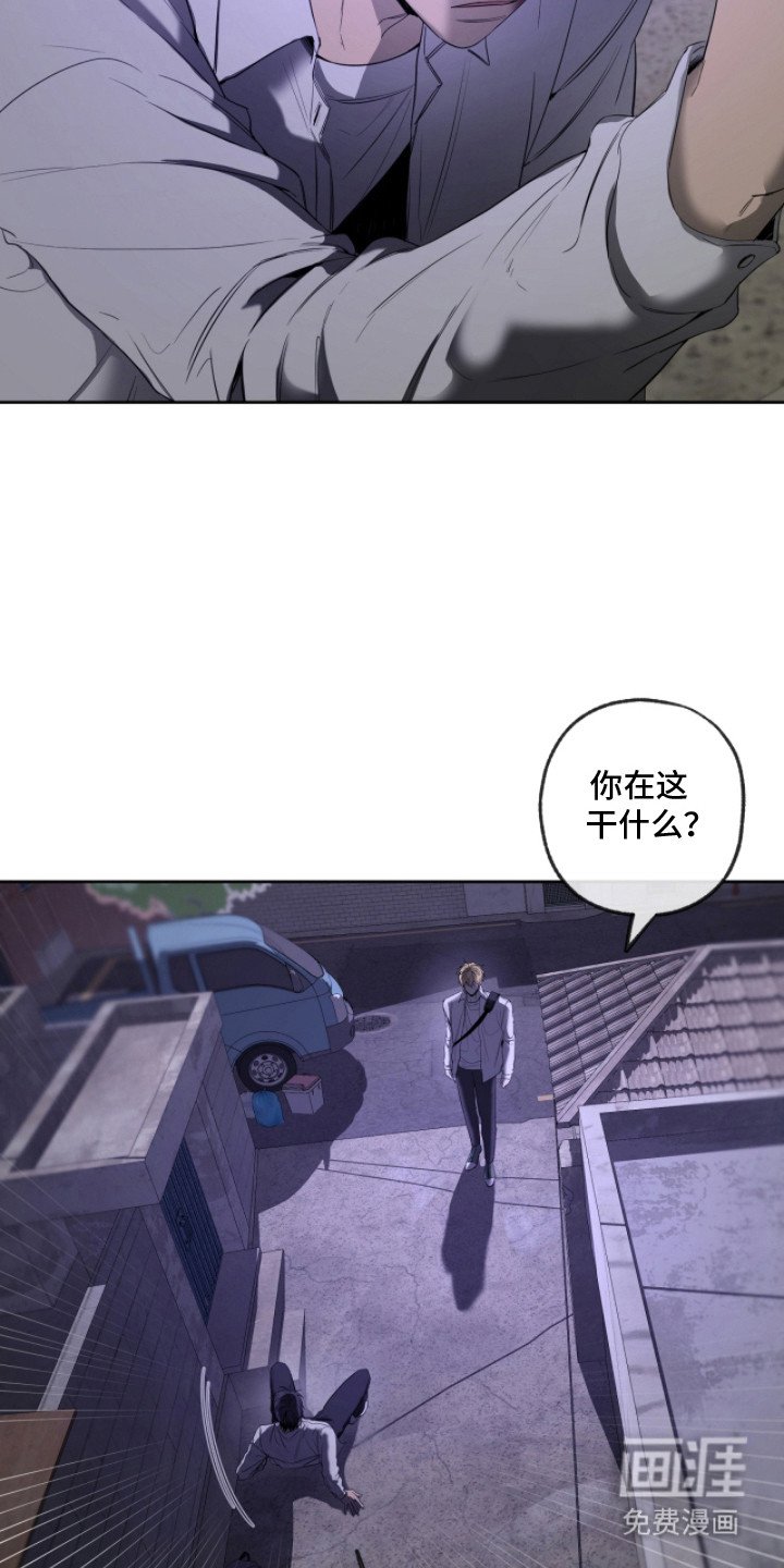 第11章：心理阴影