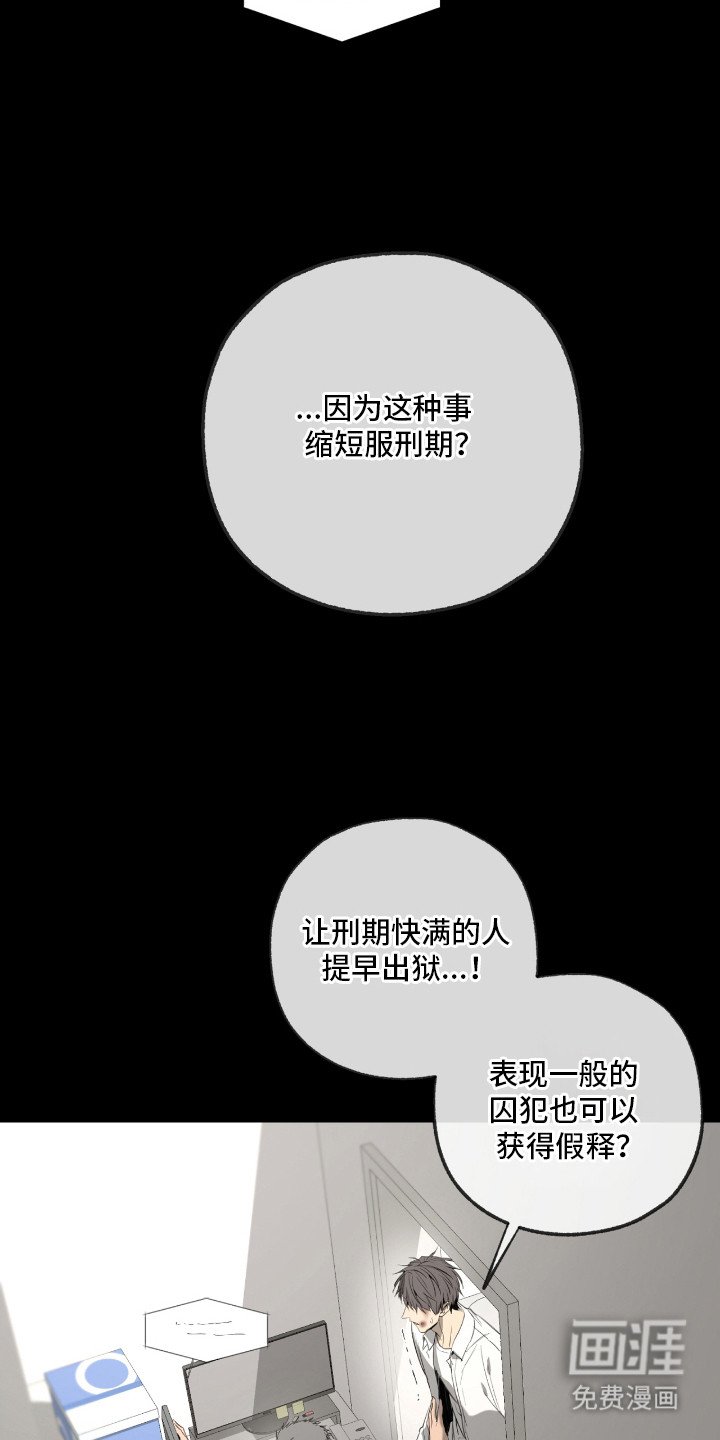 第11章：心理阴影