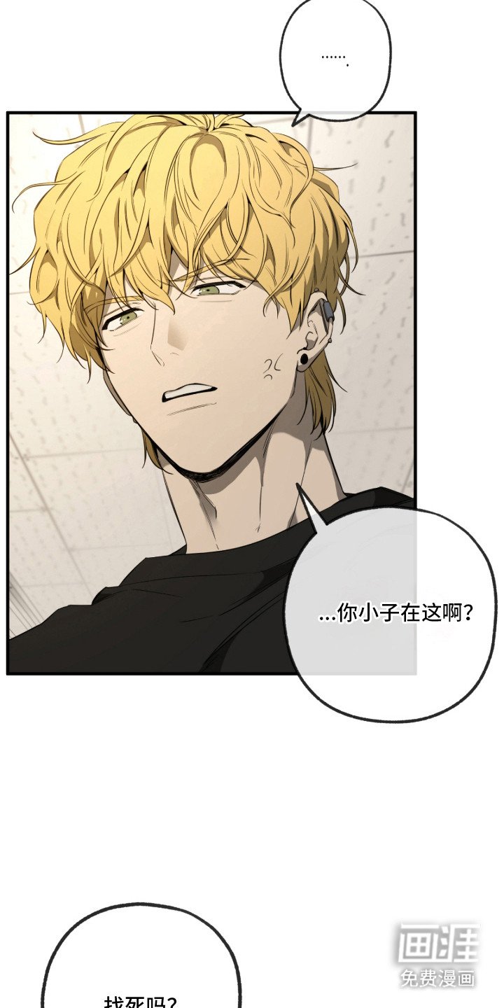 第6章： 嘴硬