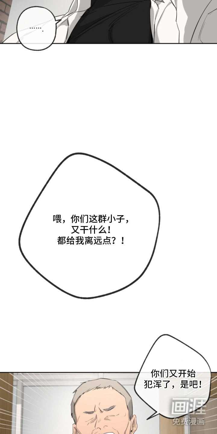第8章：价钱