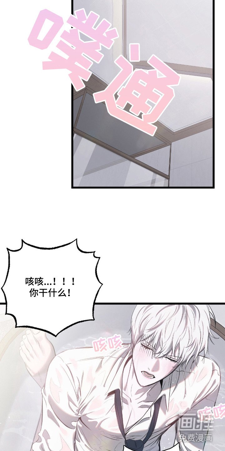 第13章：擦洗