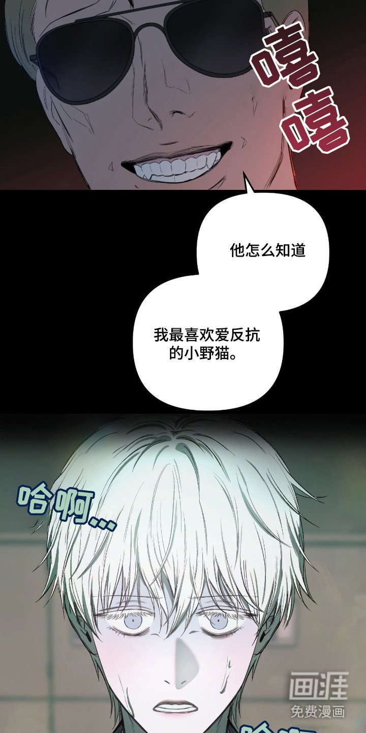 第15章：虚张声势