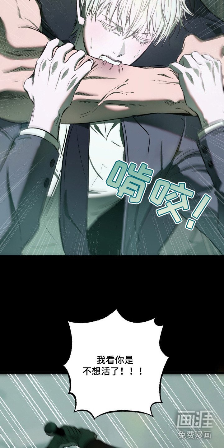 第15章：虚张声势