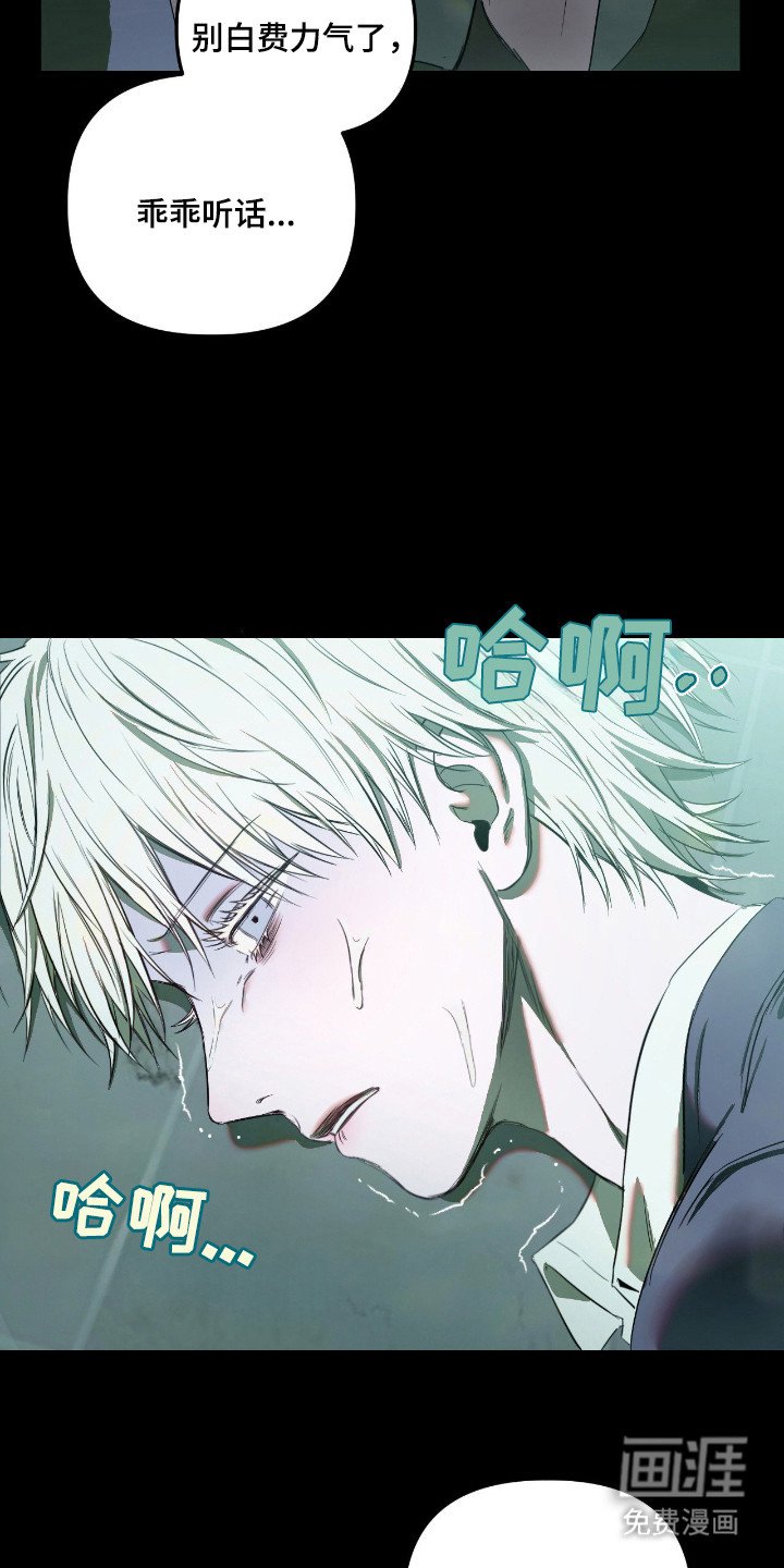 第15章：虚张声势