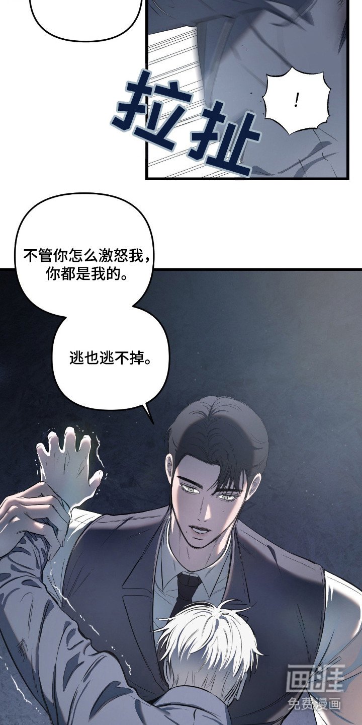 第17章：握在掌心