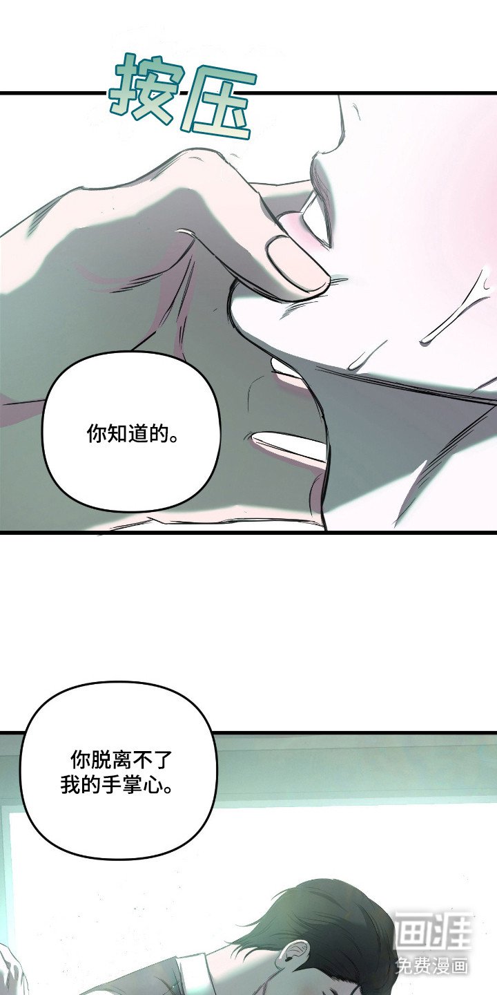 第17章：握在掌心