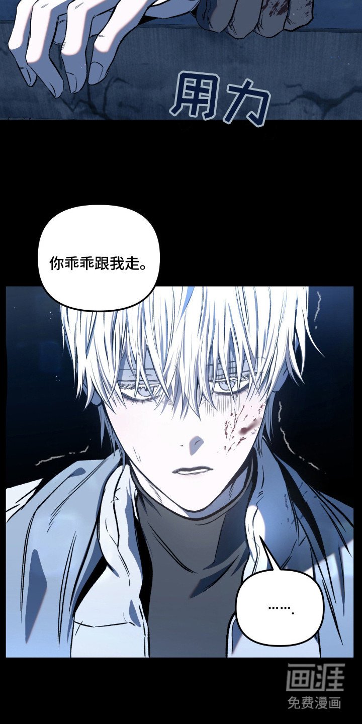 第5章：带回家