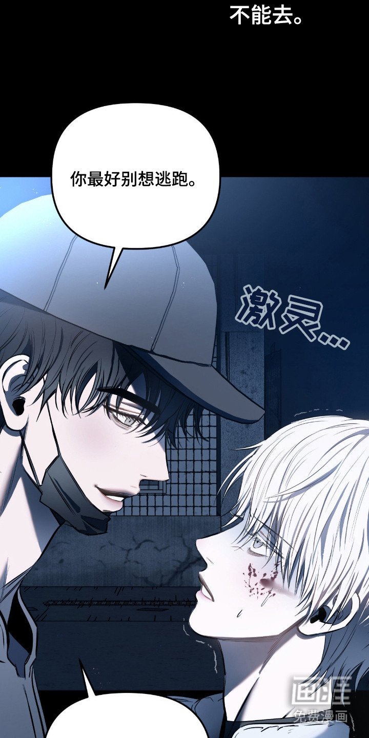 第5章：带回家
