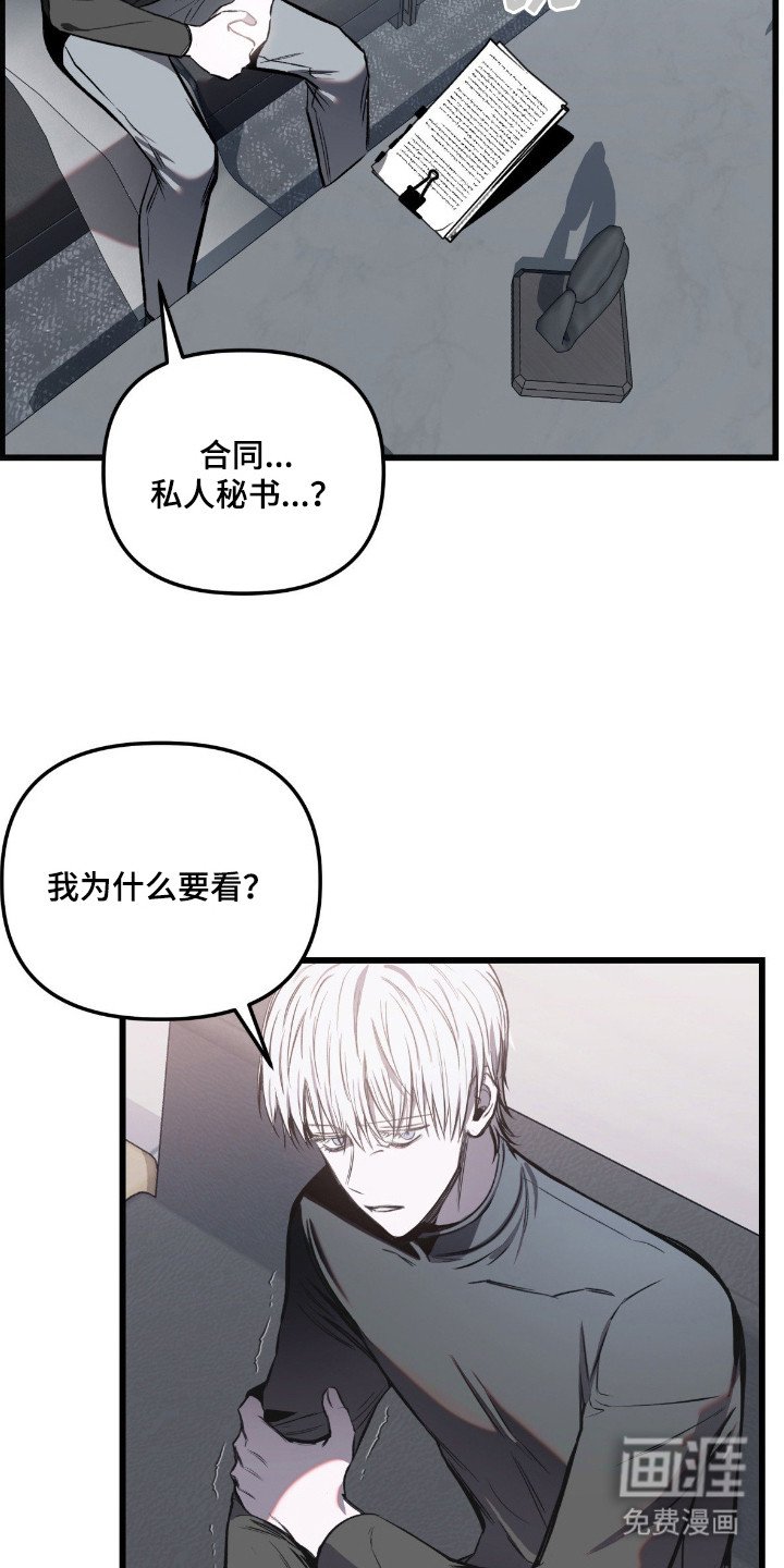 第6章：合同