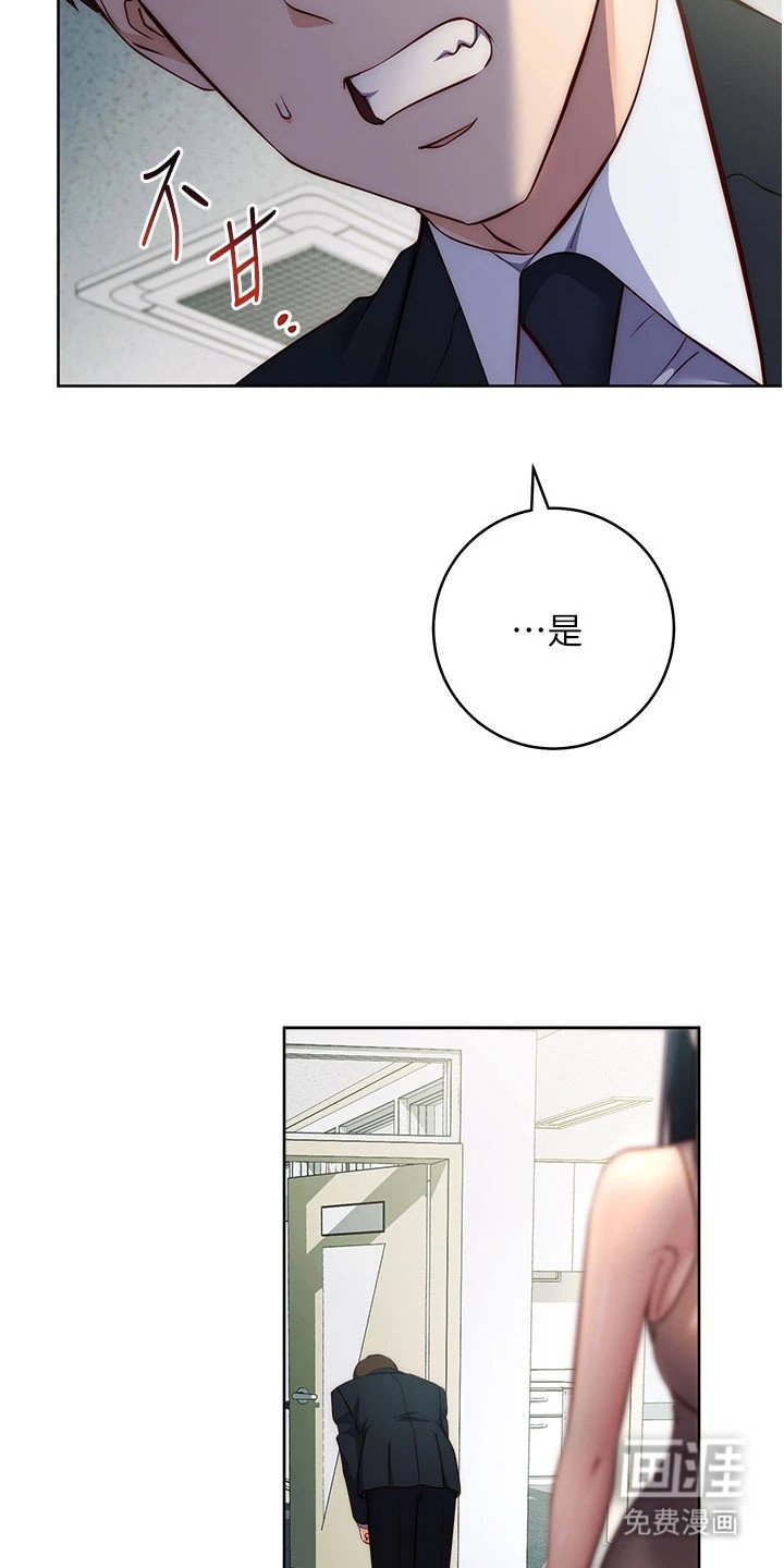 第11章：年度汇报